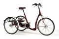 E-bike - 2219 Lagoon bordeaux.jpg