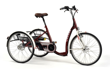 E-bike - 2219 Lagoon bordeaux.jpg