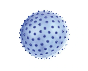 piłka rehabilitacyjna.png