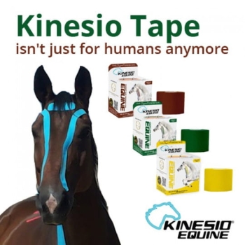 ORYGINAL KINESIO TAPE DLA KONI I INNYCH ZWIERZĄT.jpg